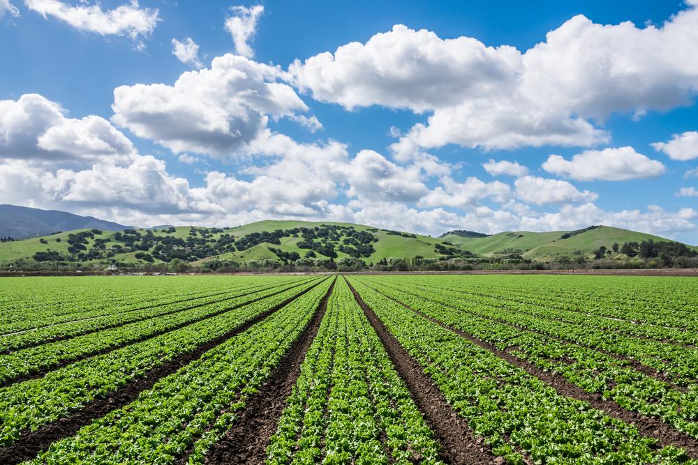 california agriculture education jobs