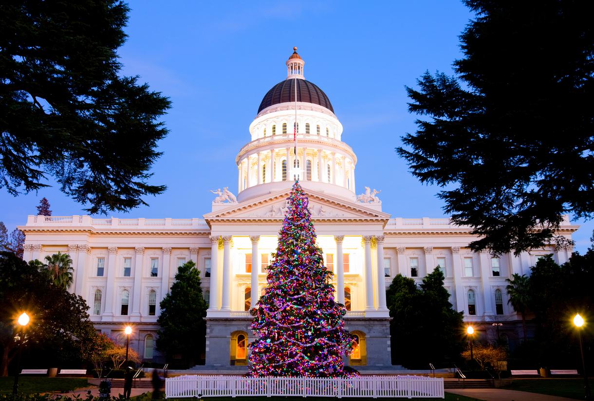 Biggest Christmas Trees in California