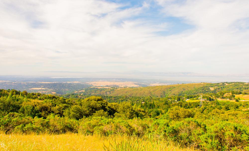 11 Wildflower Hikes to Take in California