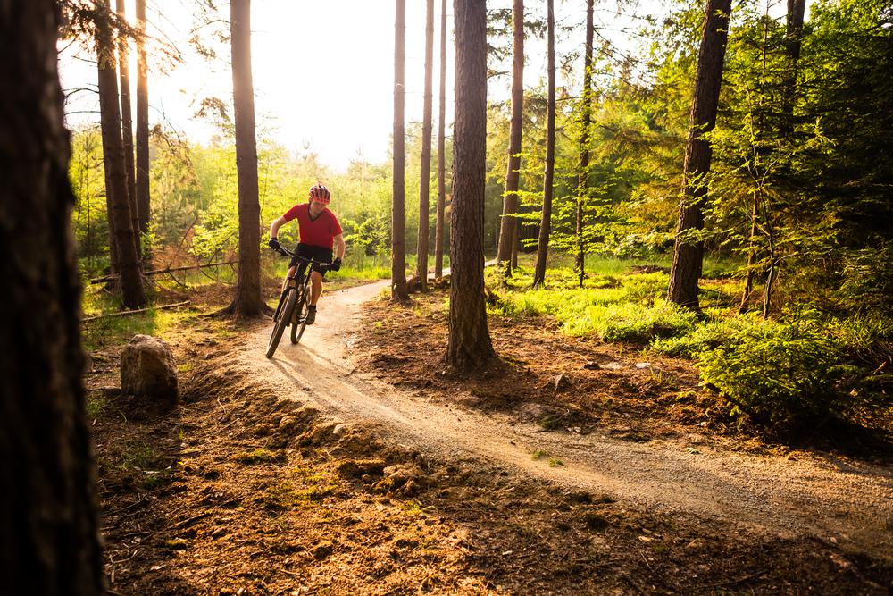 santa cruz bike park