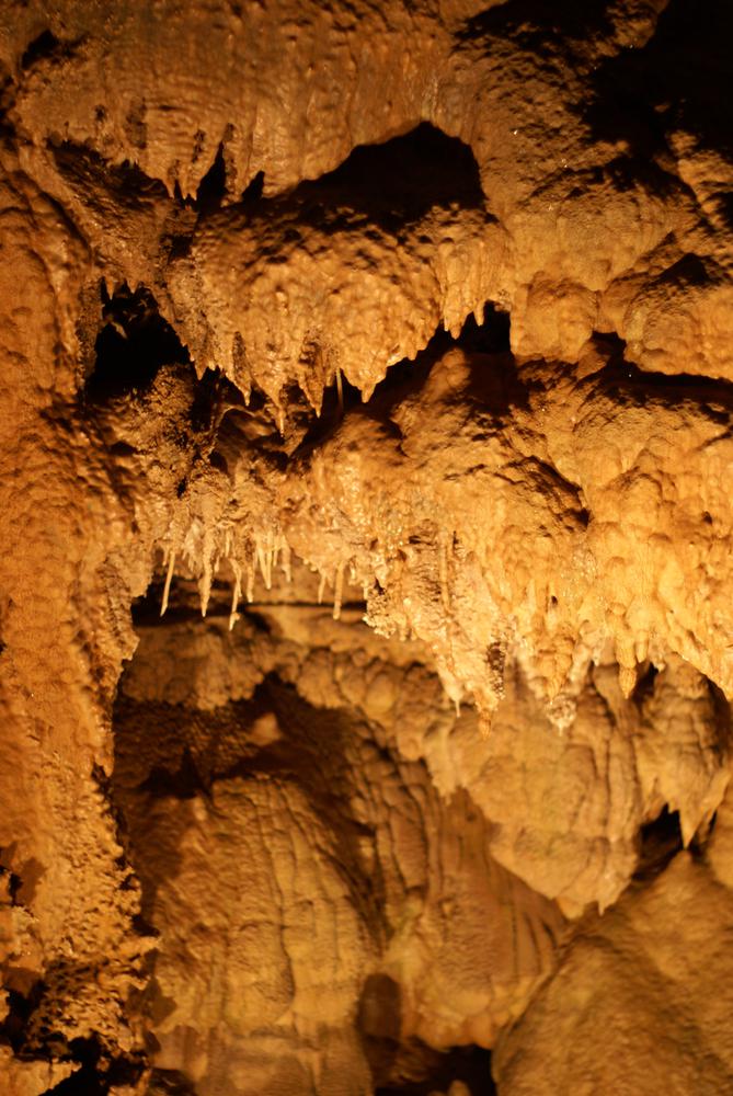 shasta caverns tours