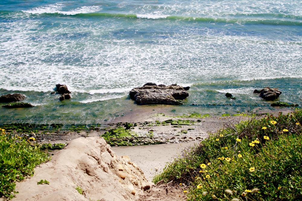 Discover the Arroyo Burro Beach Loop: A Guide to Santa Barbara's Coastal Gem