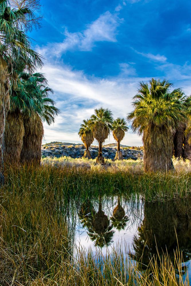 15 Cool Places to Visit in California