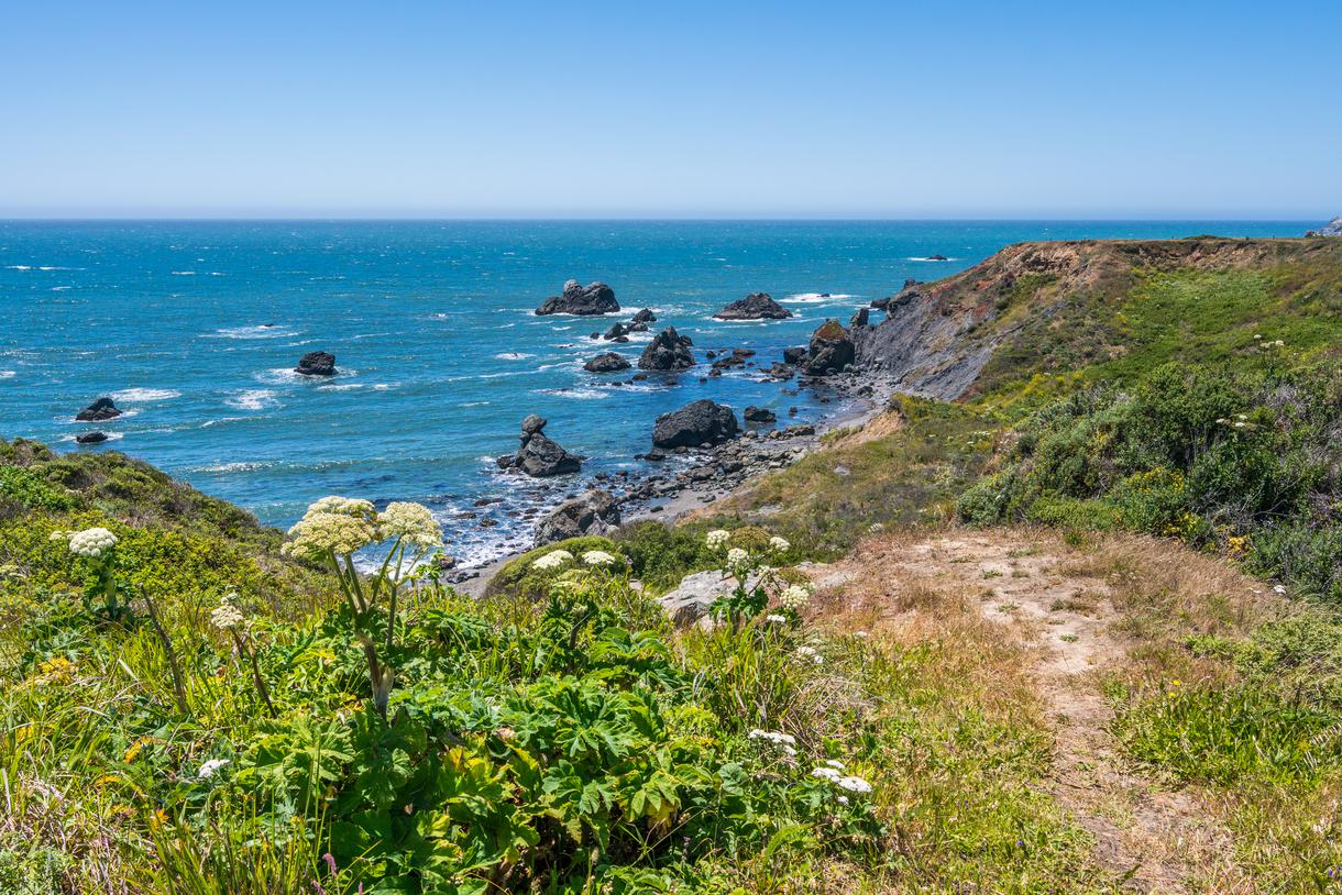 10 Best Hikes and Trails in Sonoma Coast State Park