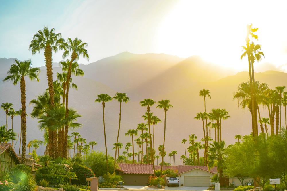 Pros and Cons What It's Like Living in Palm Springs