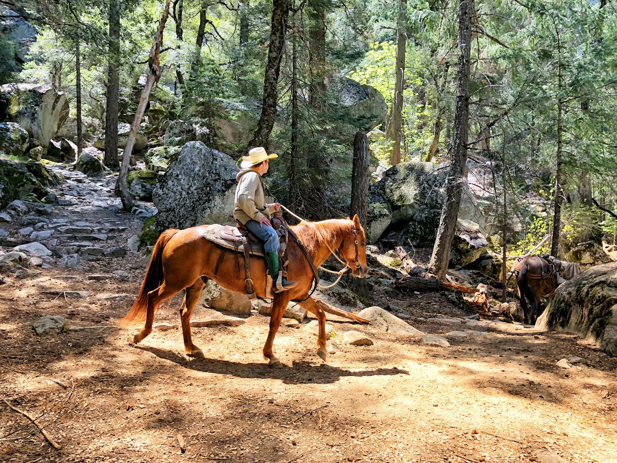 9 Top Places to Go Horseback Riding in California