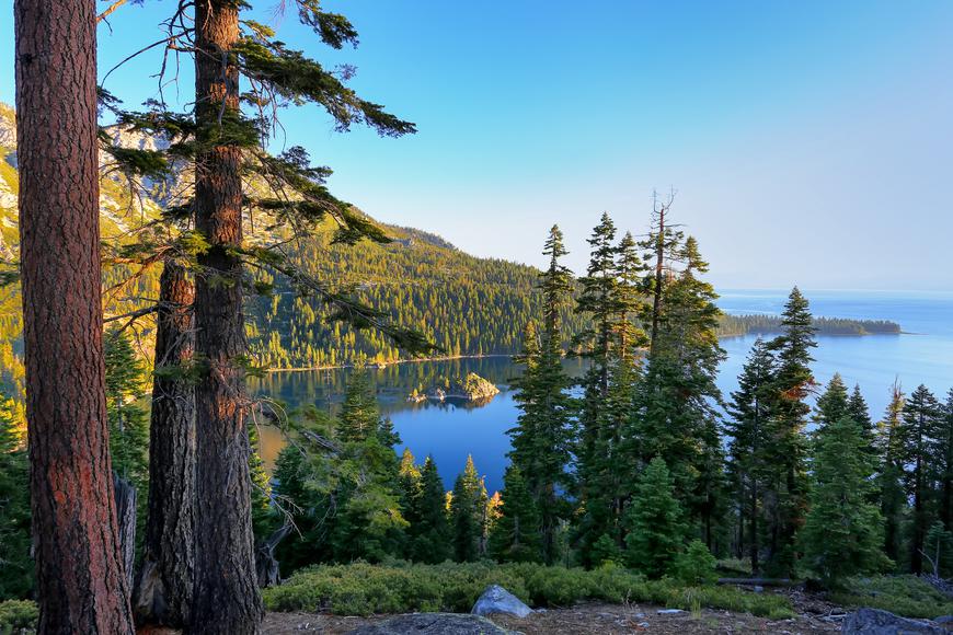 The Best National Forests in Northern California