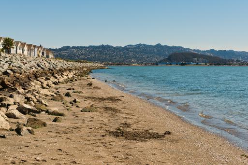 Discover Albany, California: A Hidden Gem for Wholesome Living