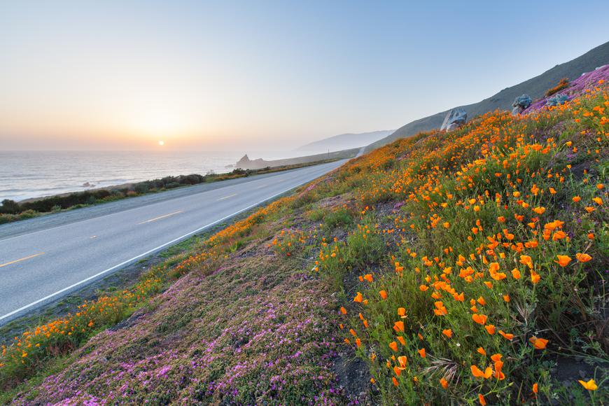 The Ultimate California Road Trip: Essential Tips for an Unforgettable Adventure