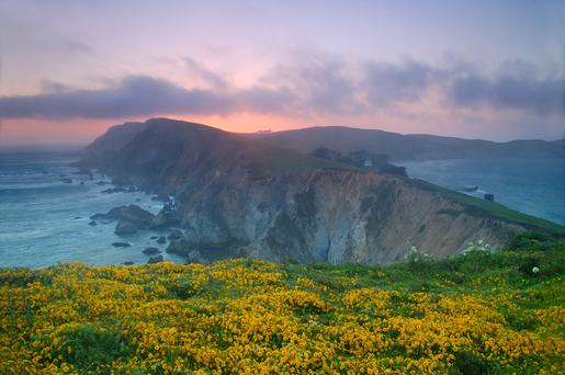 A Guide to Camping at Point Reyes National Seashore