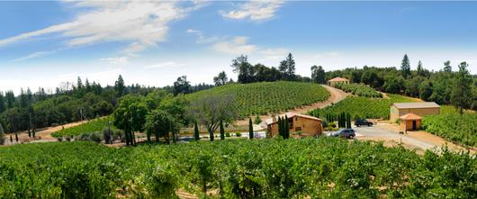 Amador County: The Heart of the Mother Lode