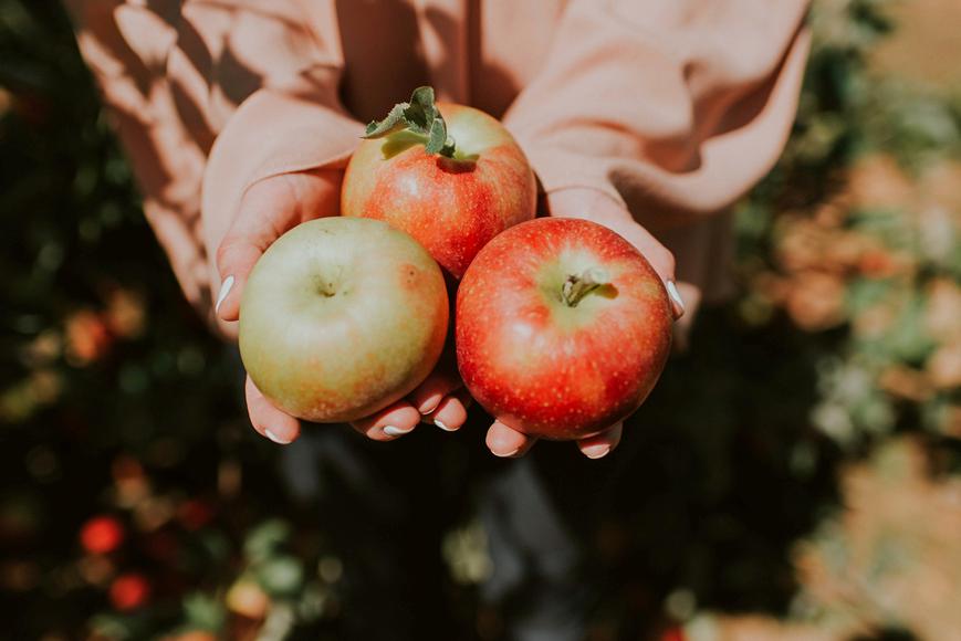 The Southern California Apple-Picking Farms You Can’t Miss