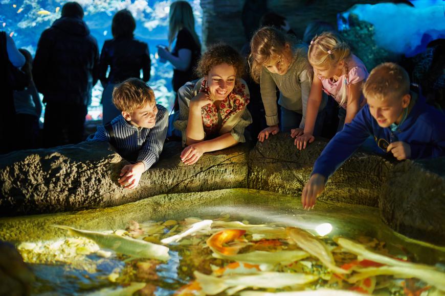 17 Family Friendly Attractions in California