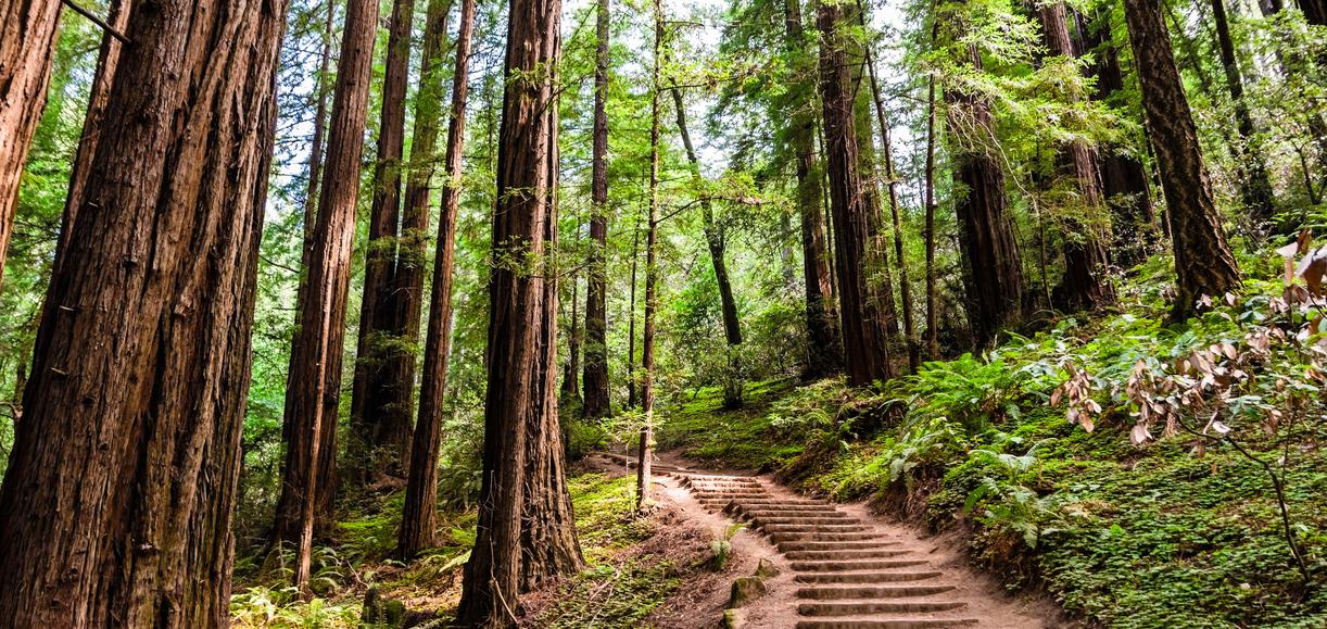 The 5 Best Bay Area Hikes