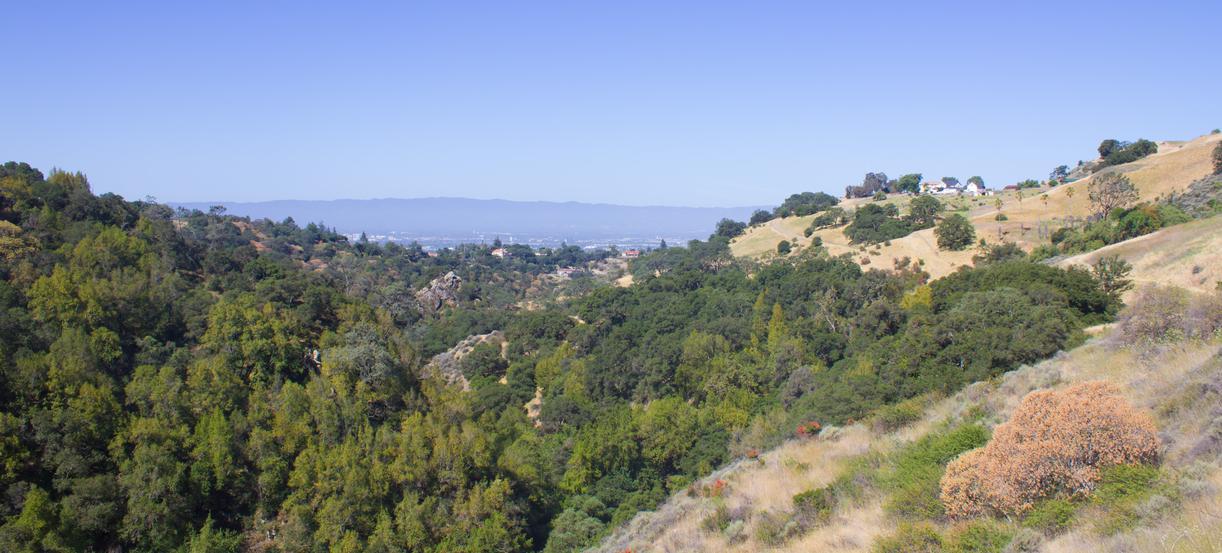 Alum Rock, California: Your Gem of a Getaway in Silicon Valley