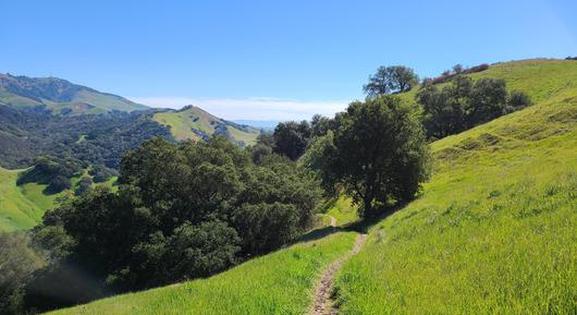 Discovering the Blackhawk Magic: Live, Dine, Explore