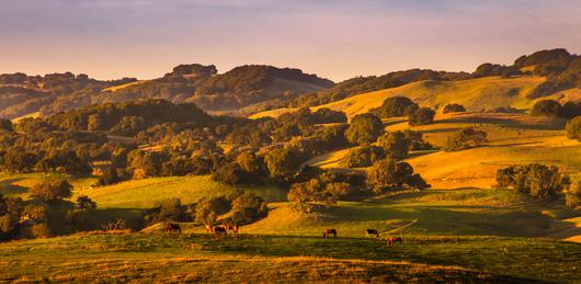 Golden Hills, California: An Undiscovered Gem of the West Coast