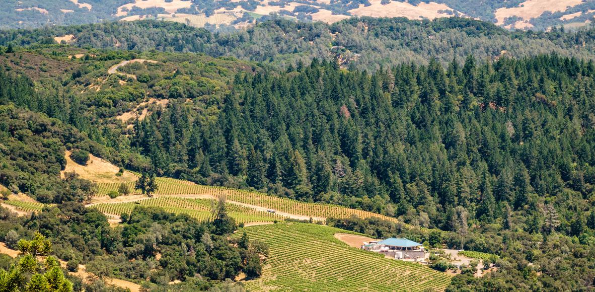 The Jewel of Sonoma County: Embracing the Healdsburg Lifestyle