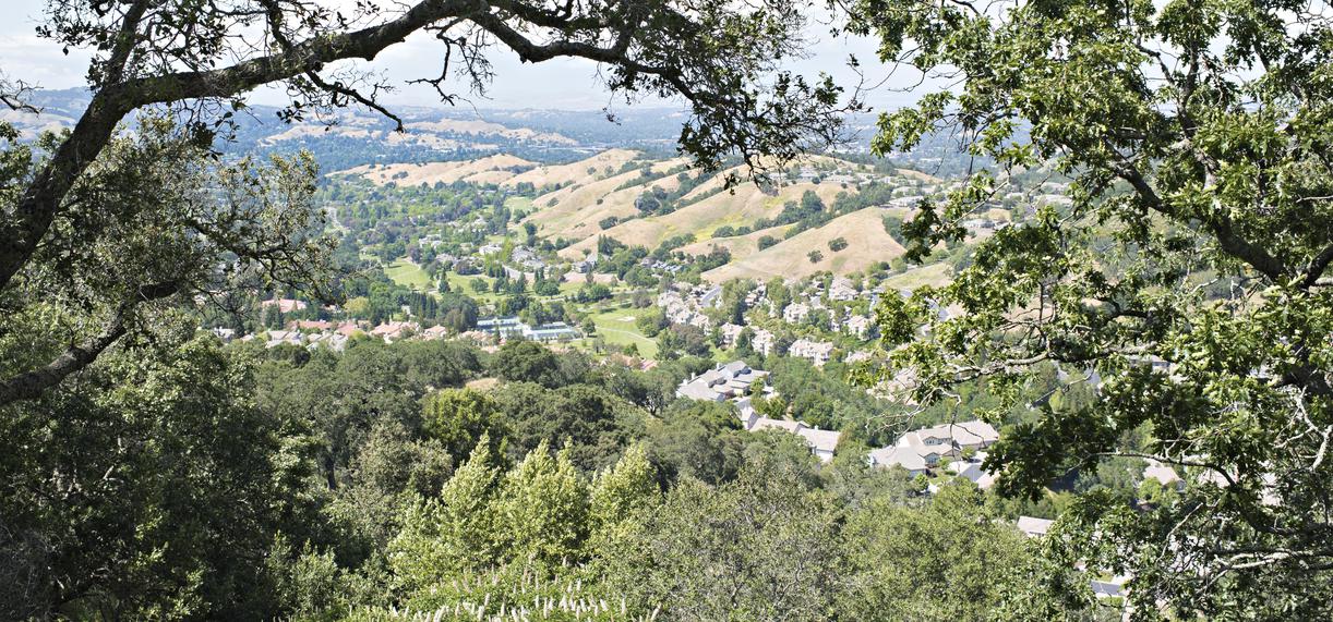 Discover Rossmoor: California’s Hidden Gem For Quality Living