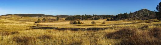 Unearth the Unique Charm: Experience the Best of San Diego Country Estates