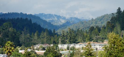 Scotts Valley, California: Your Perfect Family Retreat