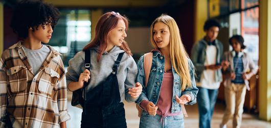 Discovering Top-Rated High Schools in the Vicinity of Fallbrook, California