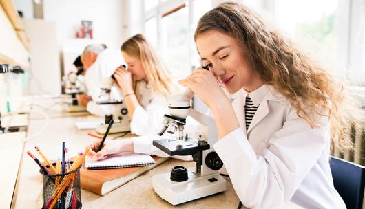 Exploring the Top-Tier High Schools Around Lakewood, California: Proximity, History, and Excellence