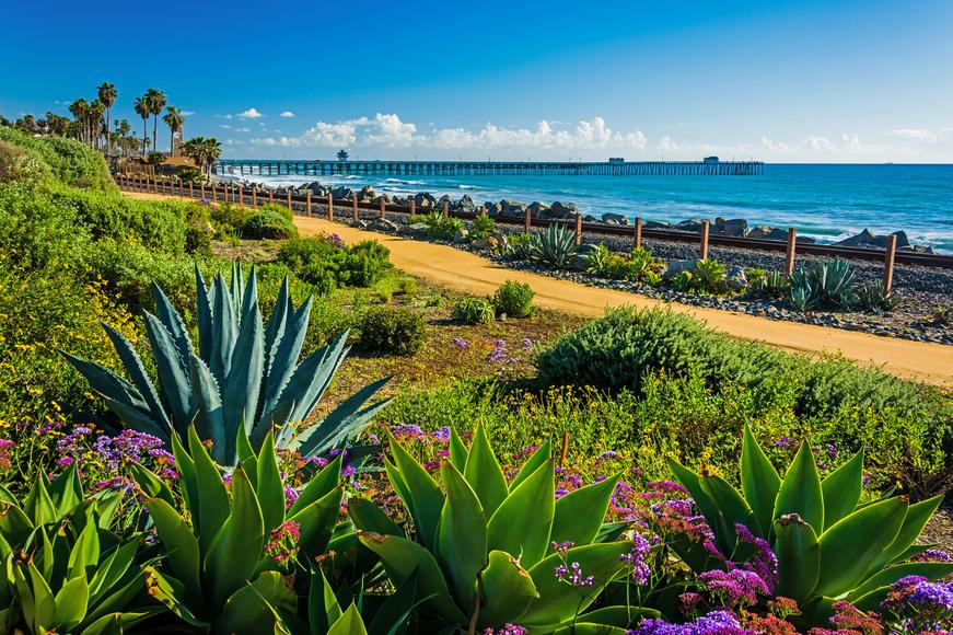 These Are the 7 Best Things To Do In Orange County