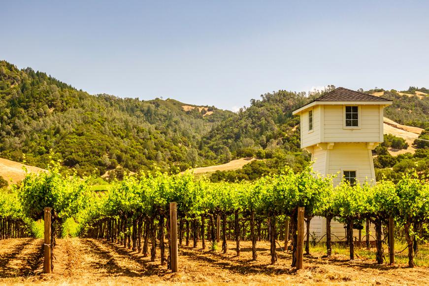 10 Things To Do in Sonoma You Haven't Thought of Yet