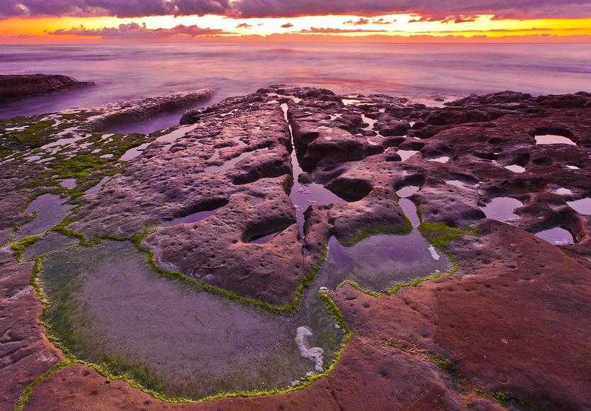 Best Tide Pools in Southern California to Explore