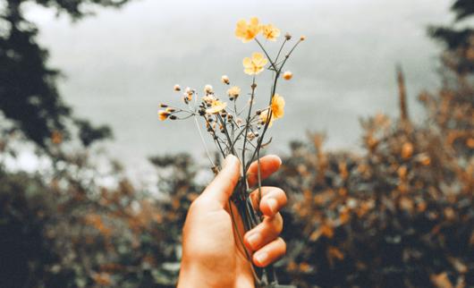California Brands That Give Back