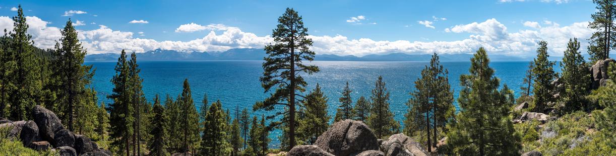 The 5 Best Northern California Wildlife Hiking Trails