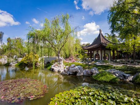 California Botanical Gardens That Are Too Beautiful To Miss