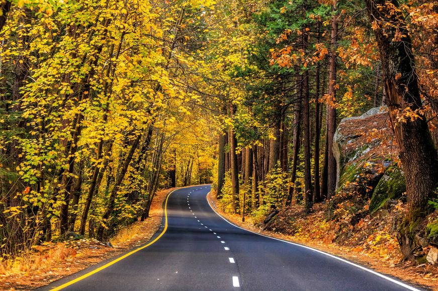 The Ultimate California Bucket List: The Top Places to Go This Fall