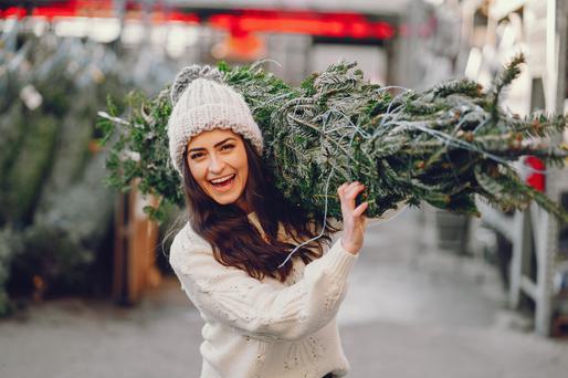California Christmas Tree Farms to Visit Now