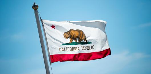 What Does the California Flag Represent?