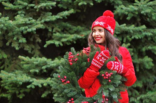 Stunning Christmas Tree Farms in the Bay Area