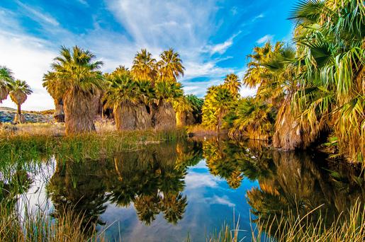 15 Cool Places to Visit in California