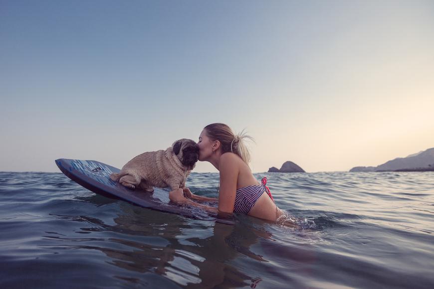The Best Dog-Friendly Beaches in Southern California