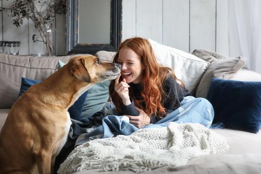 9 Dog-Friendly Cities in California to Move to with Your Pup