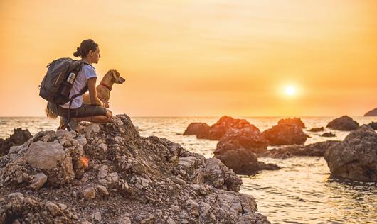 The 7 Best Dog-Friendly Hikes in the Bay Area