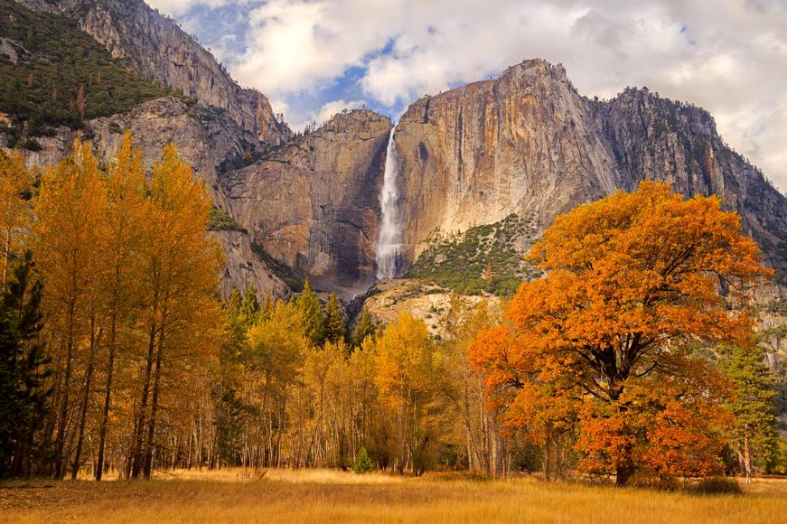 Where to See California's Fall Foliage in Every Region