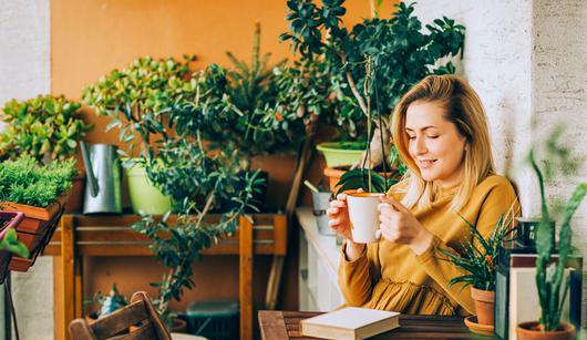 A Fall Gardening Guide for Achieving an Autumn Oasis