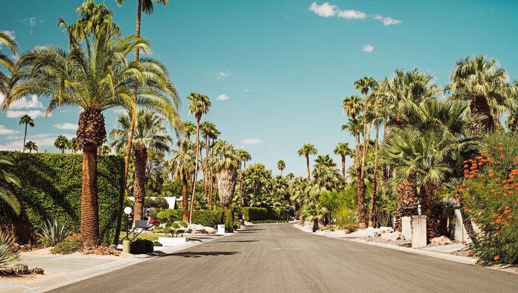 Cool Free Things To Do in Palm Springs