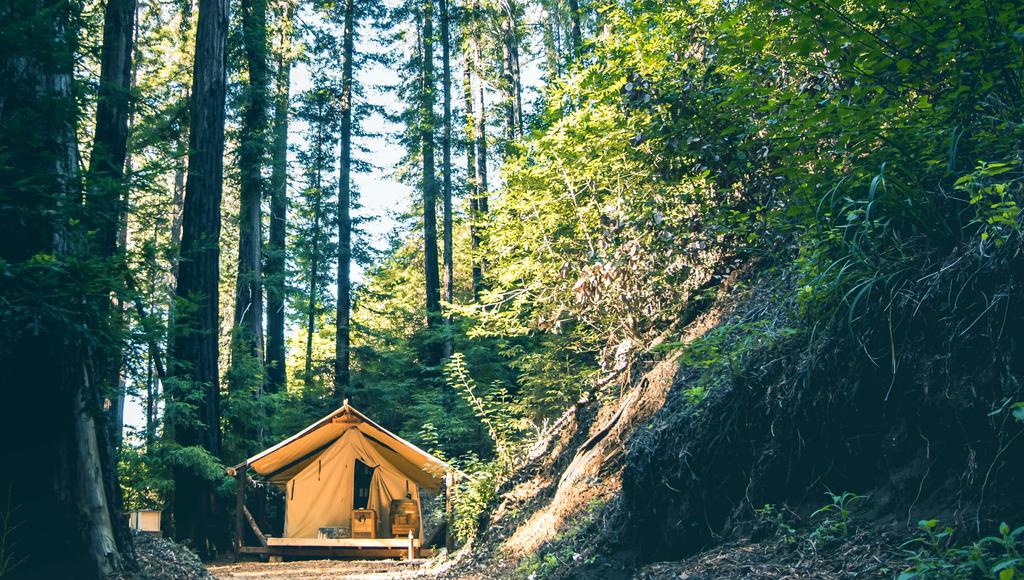 Time to Get Away: The Appeal of Glamping in The Golden State