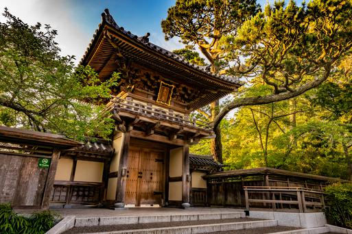 The Most Beautiful Gardens in Golden Gate Park