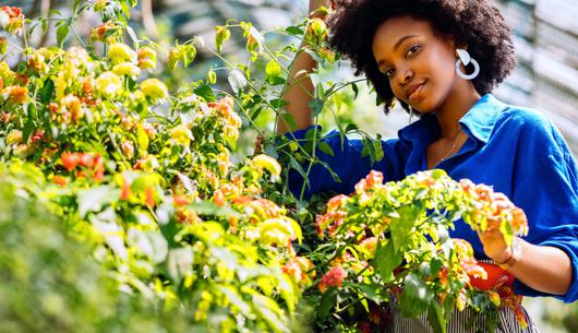 Groom Your Blooms: 23 Tips for Growing a Healthy Garden