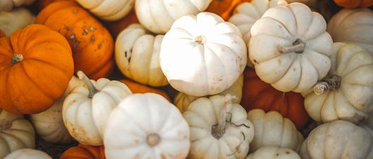 The Half Moon Bay Fall Festival You Don't Want to Miss