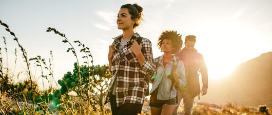 Traversing Trails: A Guide to Mount Diablo State Park