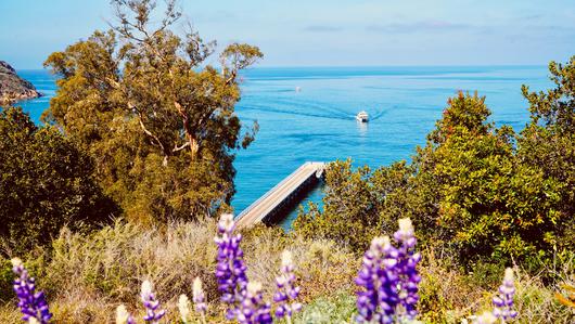 A Visitor Guide to the Channel Islands